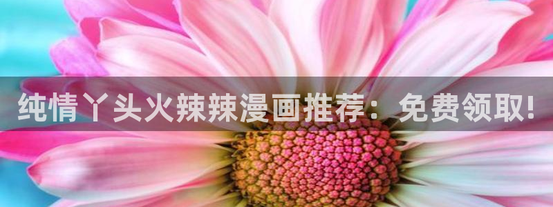 哔咔漫画免费网页版