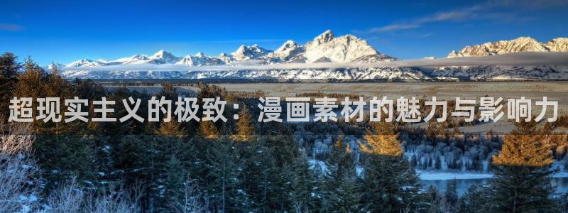 哔咔漫画成年版