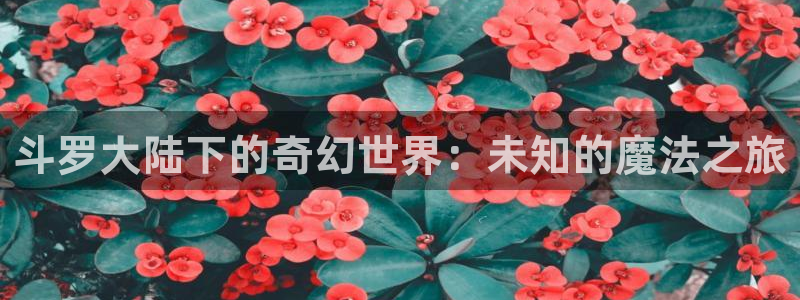 哔咔漫画官网网页版：斗罗大陆下的奇幻世界：未知的魔法之旅